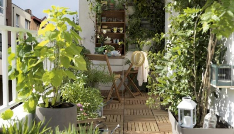 07281092-photo-balcon-verdure-plantes-terrasse-bois