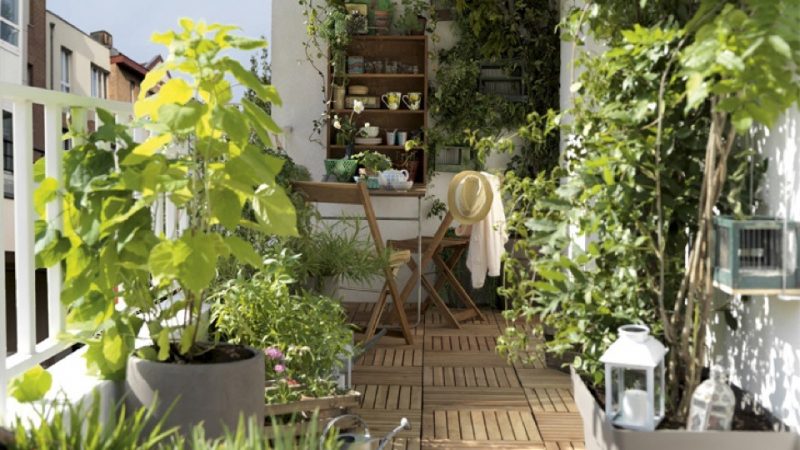 07281092-photo-balcon-verdure-plantes-terrasse-bois