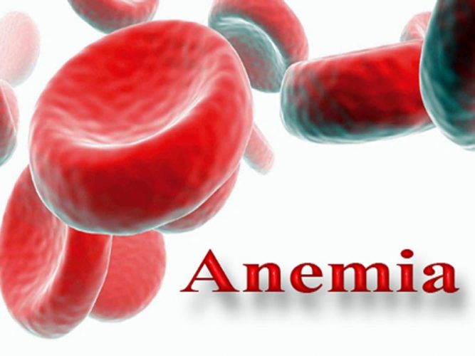 أنواع لأنيميا الدم